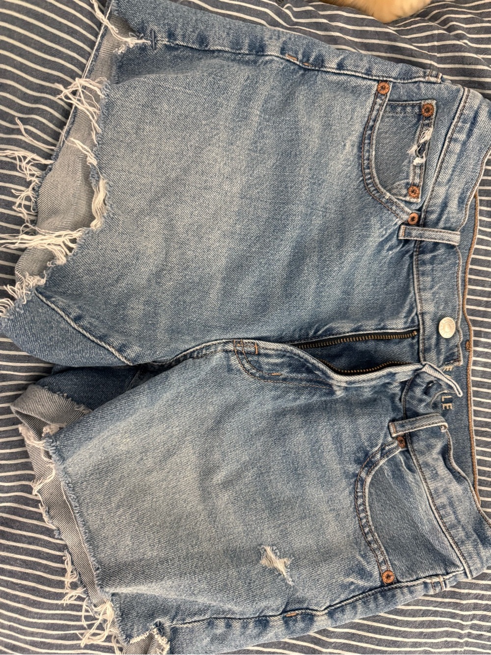 American Eagle Outfitters Light Blue Distressed High-Rise Denim Shorts